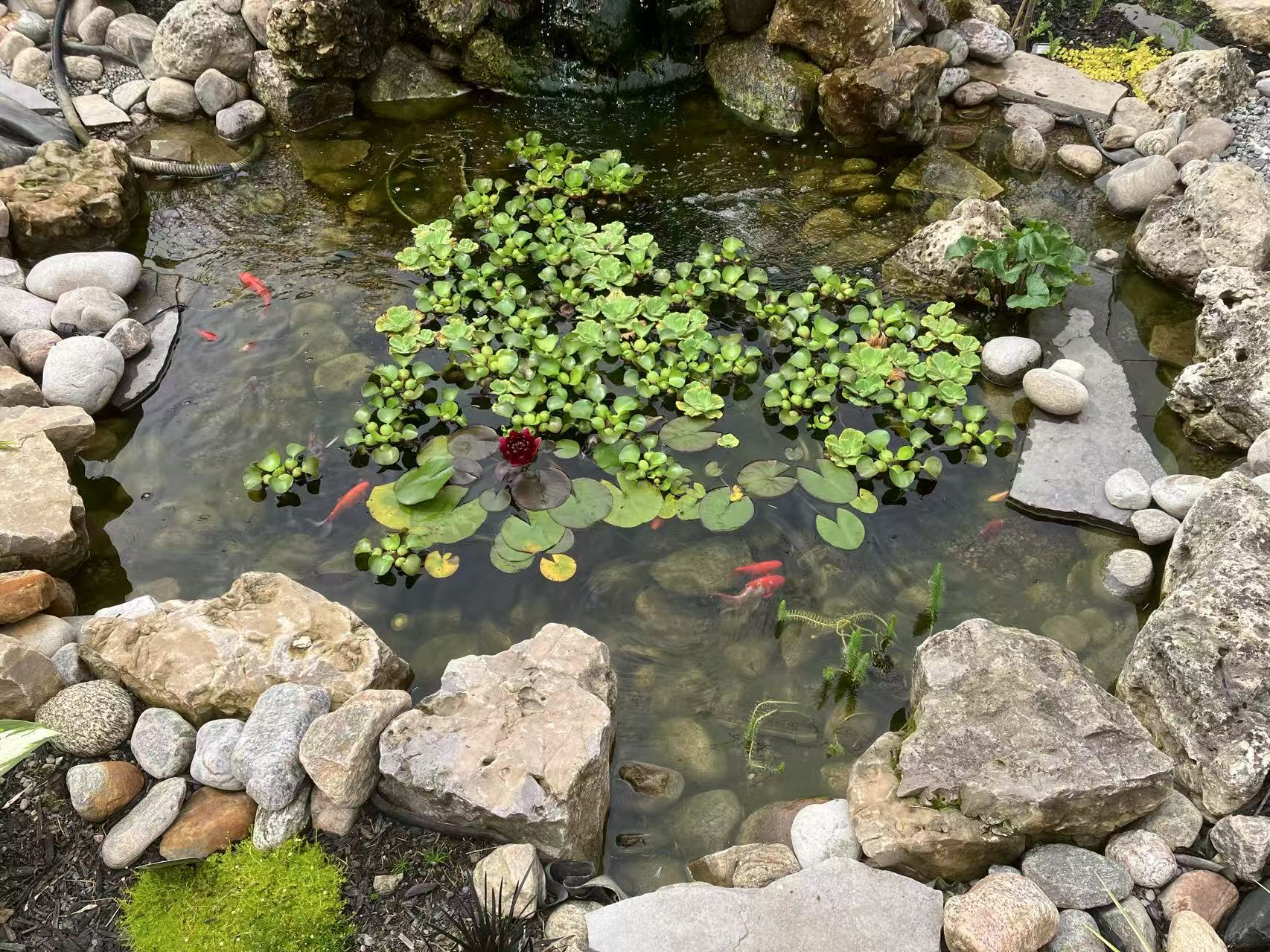 Landscaping Features project 5
